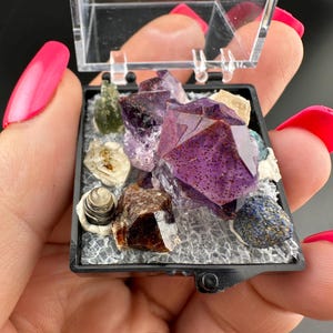 Colección de Cristales en Miniatura: Moldavita, Amatista, Piedra del Sol, Azurita, Cuarzo, Concha, Granate (Caja de 2,5 cm)