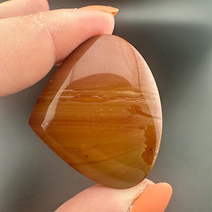 Antelope Jasper - Cabochon - Owyhee Mountains - Oregon, Idaho Border