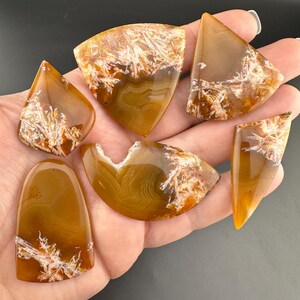 Condor Agate Cabochon Lot: Sagenite from Patagonia, Argentina