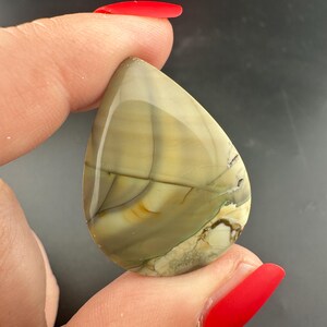 Blue Mountain Jasper - Teardrop Cabochon - Oregon
