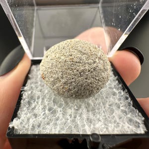 Crandallite, Wavellite - Thumbnail Crystal - Arkansas