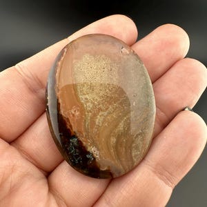 Blue Mountain Jasper - Cabochon - Oregon
