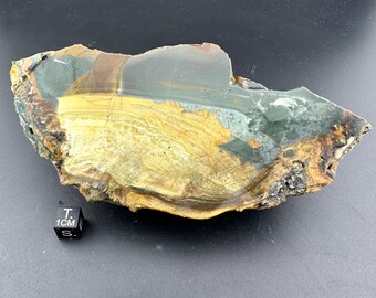 Blue Mountain Jasper - Orbicular - Rough Lapidary Half - Unpolished - McDermitt, Oregon