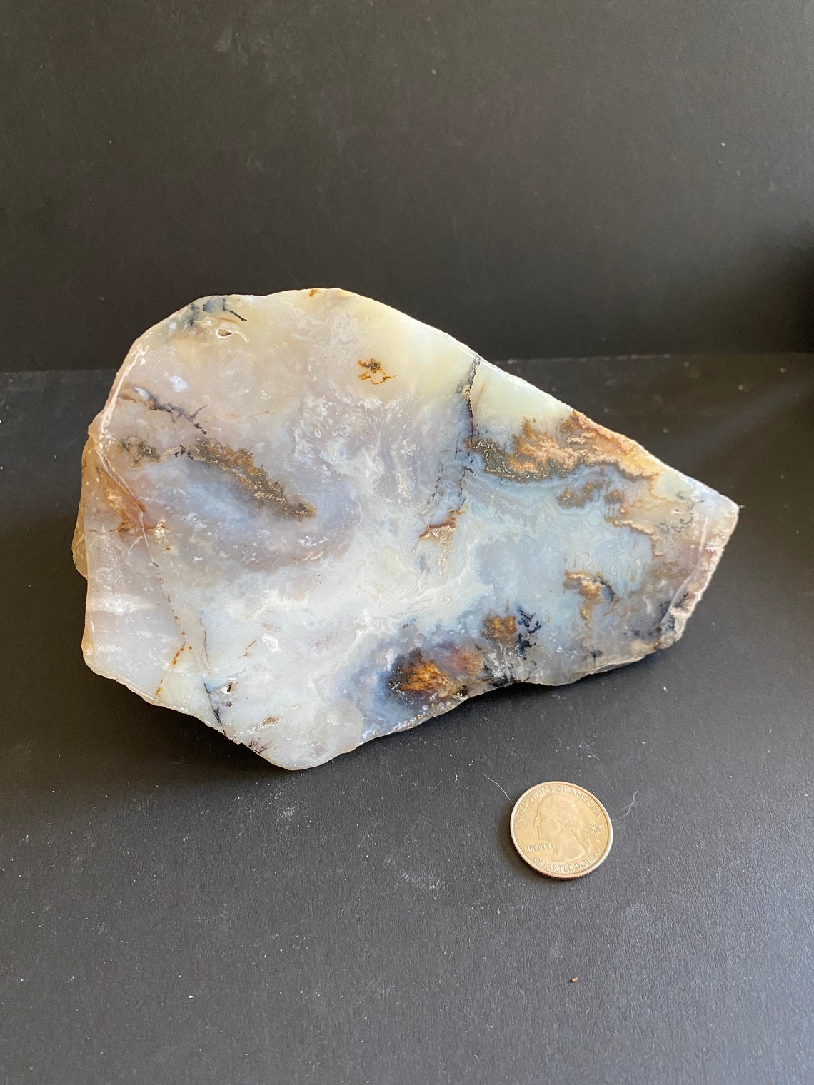 XL Graveyard Plume Agate Specimen Polished Display Piece Etsy