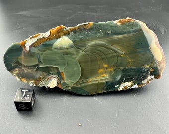 Blue Mountain Jasper - Polished Lapidary End Half - Near McDermitt, Oregon