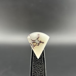 May include: A triangular-shaped, translucent white gemstone cabochon featuring intricate, dark brown dendritic inclusions that resemble branching patterns or fern-like structures, held securely by a pair of black textured metal tweezers.