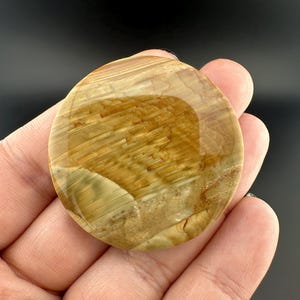 Blue Mountain Jasper - Cabochon - Oregon