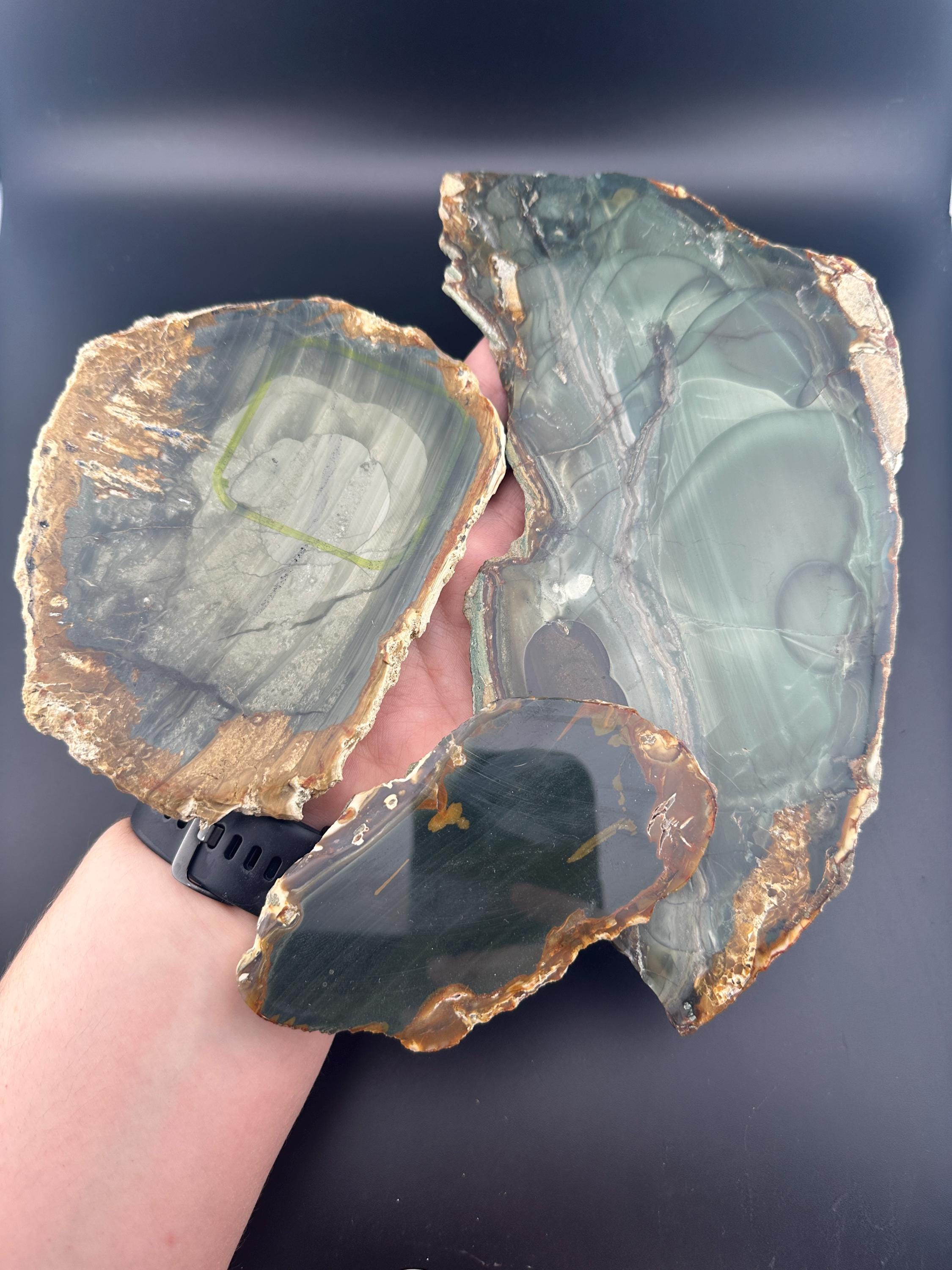 Blue Mountain Jasper Lot - Rough Lapidary Slab - Rough Polished - McDermitt, Oregon