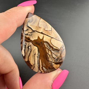 Deschutes Picture Jasper - Teardrop Cabochon - Oregon