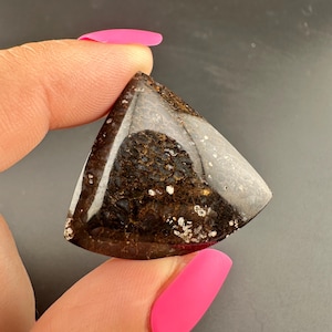 Gem Dinosaur Bone - Polished Cabochon