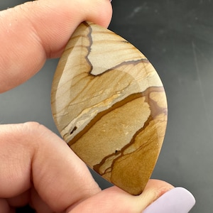 Wild Horse Picture Jasper - Cabochon - Owyhee Mountains near the Idaho/Oregon border