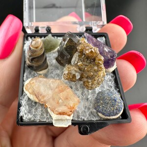 Puede incluir: Una pequeña vitrina negra que contiene una colección de varias piedras preciosas. Las piedras preciosas incluyen una piedra rayada en forma de cono, una piedra verde, un cristal marrón oscuro, un grupo de cristales dorados, un cristal púrpura, un cristal naranja claro y una piedra azul.