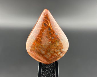 Rood dinosaurusbeen - gepolijste cabochon