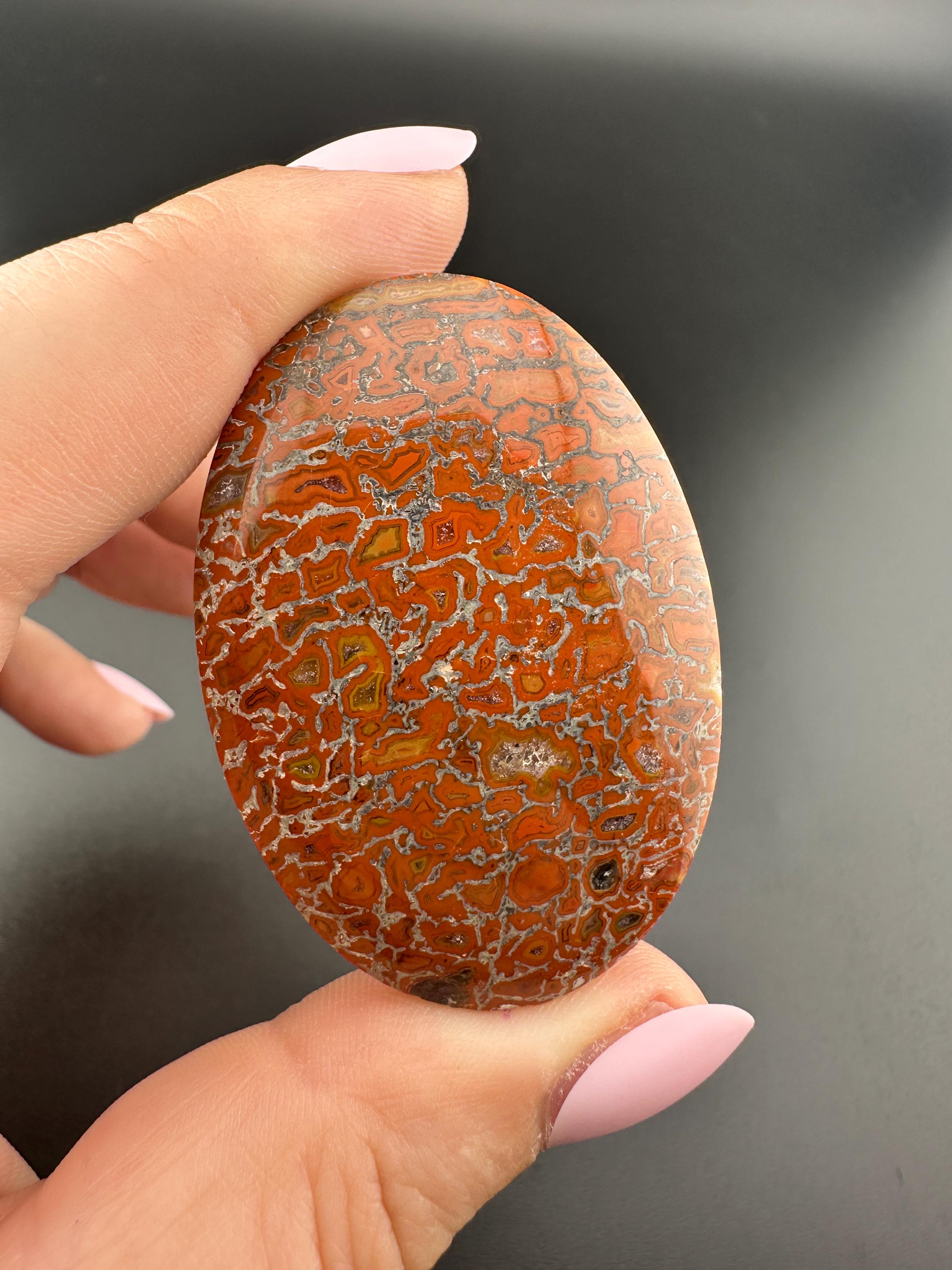 Orange Dinosaur Bone - Polished Cabochon