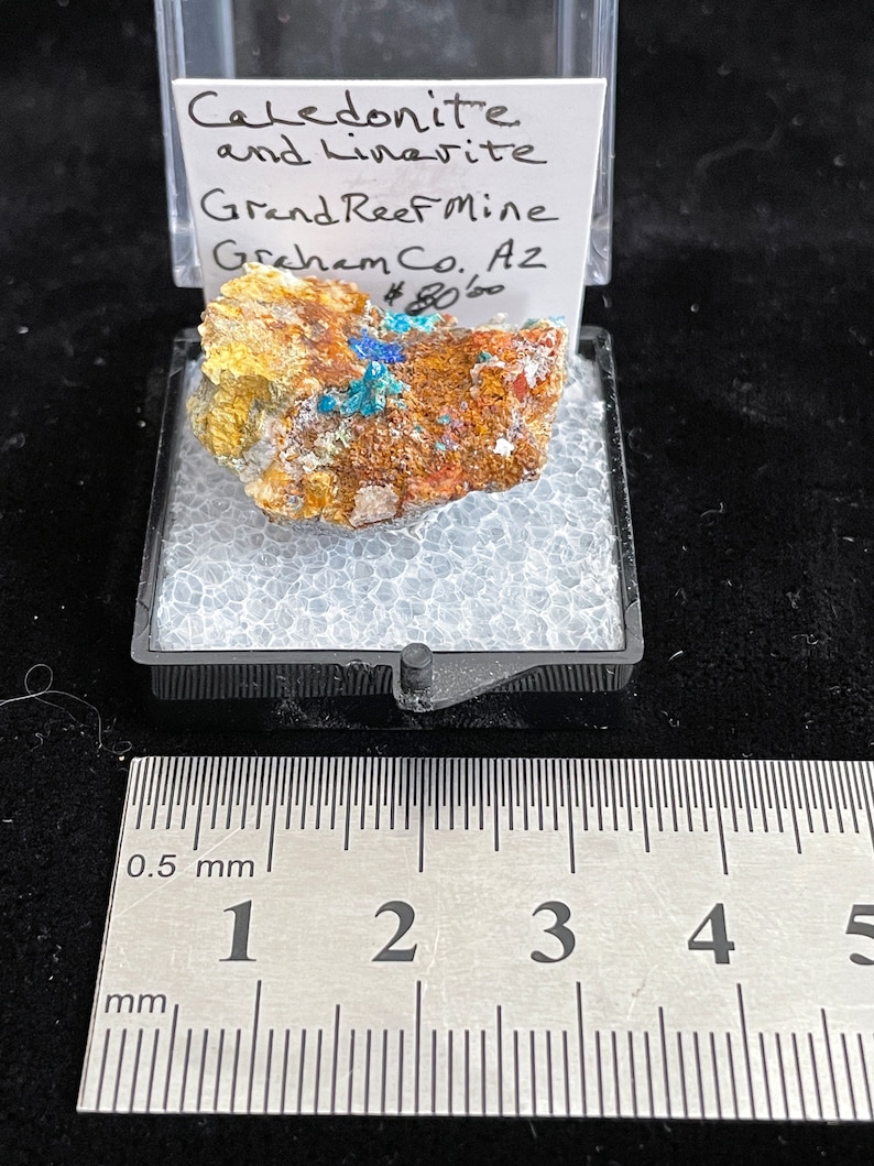 Caledonite and Linarite Thumbnail Crystal Grand Reef Mine Graham County, Arizona image 4