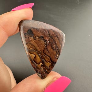 Deschutes Picture Jasper - Triangular Cabochon - Oregon