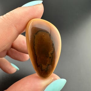 Rim - Bat Cave - Jasper - Freeform Cabochon - Prineville, Oregon