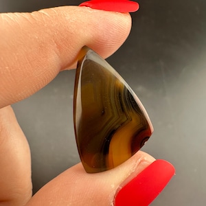 Puede incluir: Una gema triangular pulida con vetas marrones y ámbar. La piedra se sostiene entre dos dedos con esmalte de uñas rojo. La superficie de la gema es lisa y reflectante, mostrando patrones naturales.