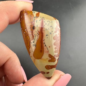 Flower Jasper - Owyhee Jasper - Cabochon - Idaho-Oregon border