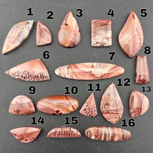 May include: A collection of sixteen polished jasper cabochons in various shapes and sizes, featuring earthy tones of red, brown, and cream with unique natural banding, dendritic patterns, and swirling inclusions, each labeled with a black number.