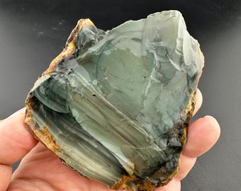 Blue Mountain Jasper - Rough Lapidary Chunk - Oregon