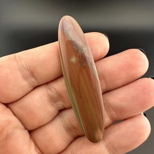Blue Mountain Jasper - Cabochon - Oregon