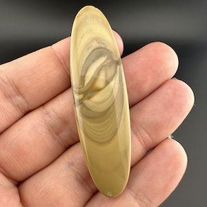 Blue Mountain Jasper - Cabochon - Oregon