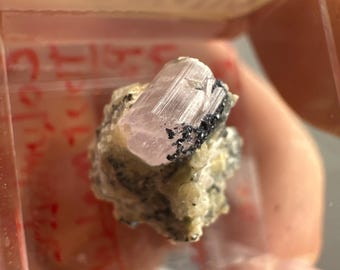 Columbite on Tourmaline - Micromount Crystal - Paprok, Afghanistan