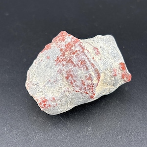 RARE Large Red Horn Coral - Utah