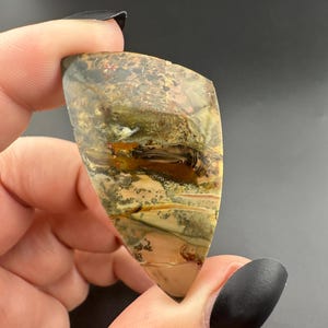 Morrisonite Jasper - Cabochon - Owyhee Canyon, Eastern Oregon