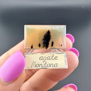 May include: A rectangular agate stone from Montana, featuring a landscape-like pattern with black tree-like inclusions against a beige and clear background. The stone is displayed on a clear stand with the words "agate Montana" written on it.