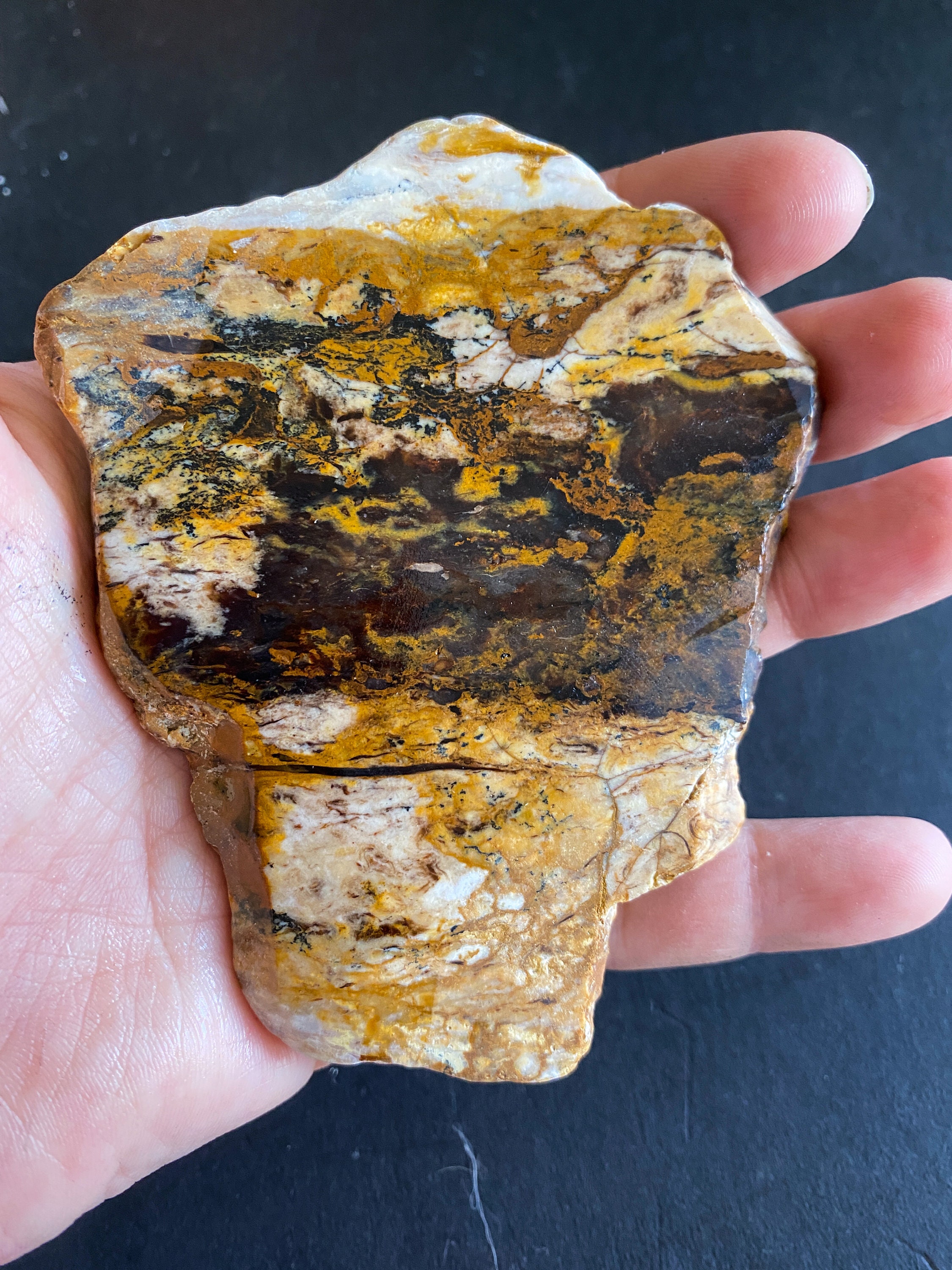 vintage highland park lapidary vintage highland park lapidary