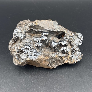 May include: A dark, irregularly shaped rock with a textured surface. The rock has a mix of dark brown and black colours, with a shiny, almost metallic appearance in some areas. The overall shape is rough and uneven, with a few small holes.