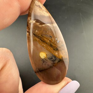 Wasco Picture Jasper - Teardrop Cabochon - Wasco, Oregon