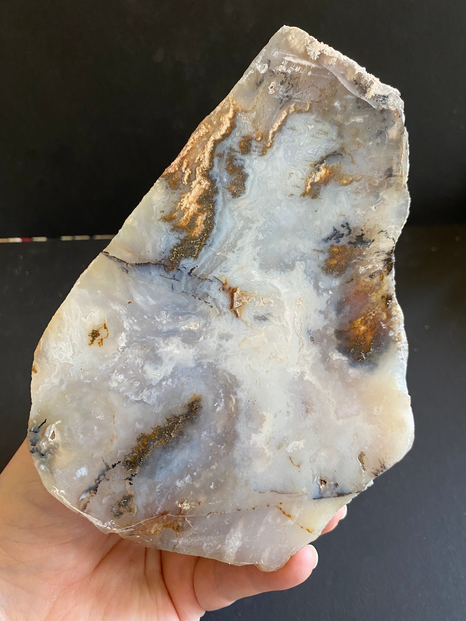 XL Graveyard Plume Agate Specimen Polished Display Piece Etsy
