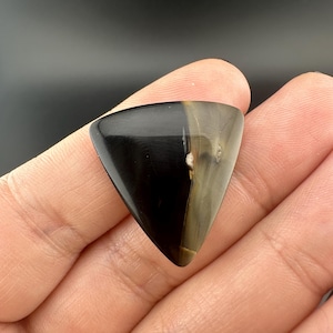 Könnte beinhalten: Ein dreieckiger Gitarrenplektrum mit polierter Oberfläche. Der Plektrum ist in zwei Abschnitte unterteilt: eine Seite ist schwarz, die andere hellbraun. Der Plektrum wird in einer Hand gehalten.