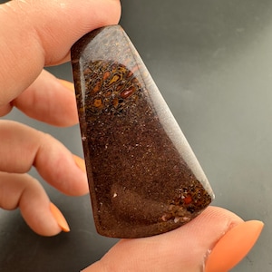 Dinosaur Gem Bone - Polished Cabochon