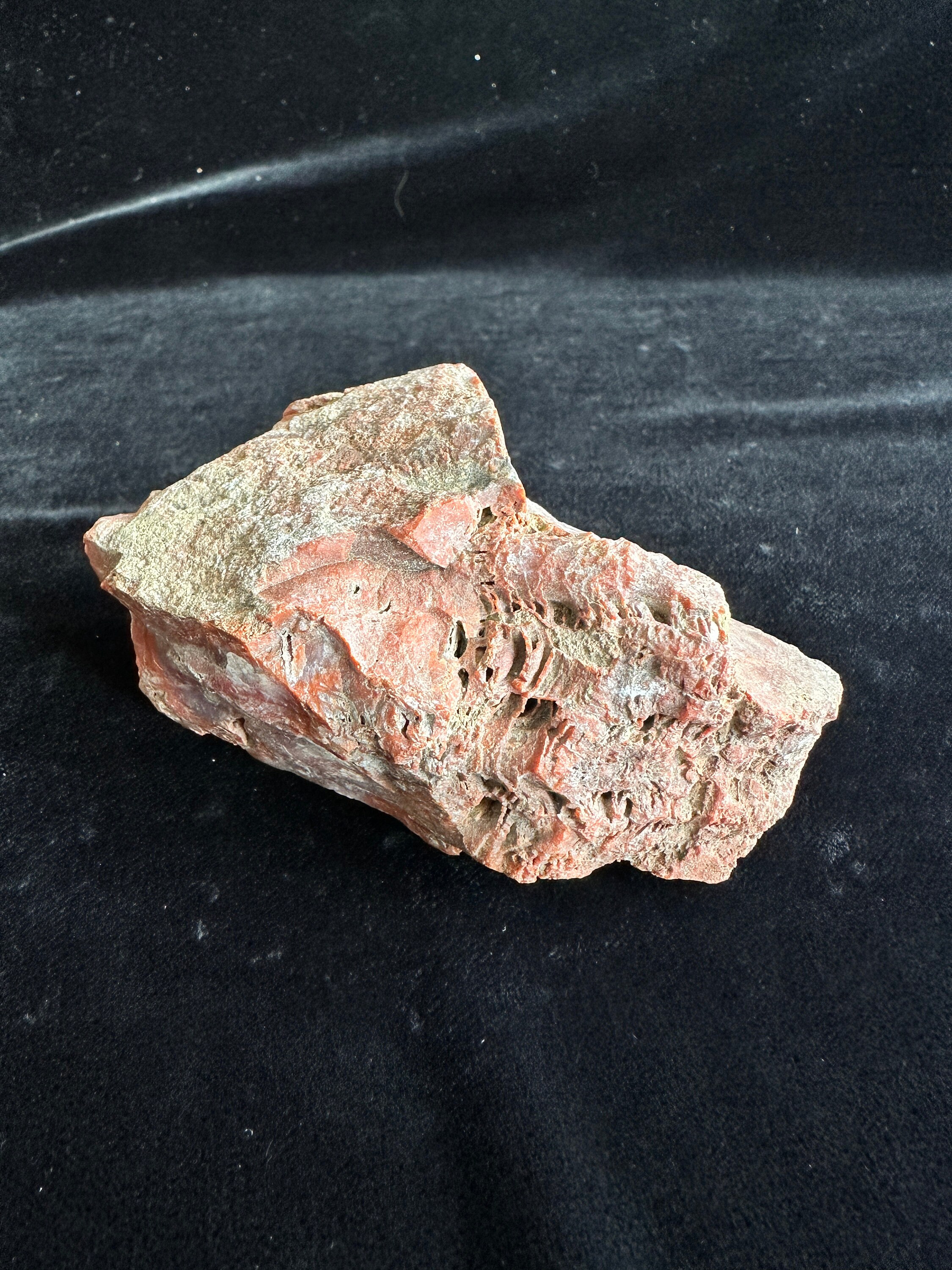 Colonial Coral Fossil - Hexagonalarid Replaced by Red Jasper