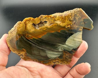 Blue Mountain Jasper - Orbicular - Rough Lapidary Half - Unpolished - McDermitt, Oregon