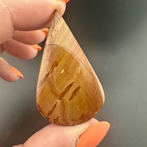 Antelope Jasper - Teardrop Cabochon - Owyhee Mountains - Oregon, Idaho Border