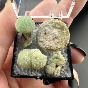 Crandallite, Wavellite - Thumbnail Crystal - Arkansas