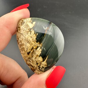 Blue Mountain Jasper - Cabochon - Oregon