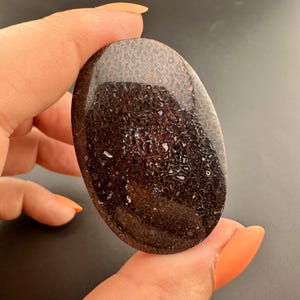 Dinosaur Gem Bone - Polished Oval Cabochon
