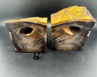 Biggs Picture Jasper - Rough Lapidary Butterfly Thick Slab Pair - Unpolished - Biggs Junction, Oregon