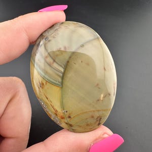 Blue Mountain Jasper - Wonky Cut Preform Cabochon - Oregon