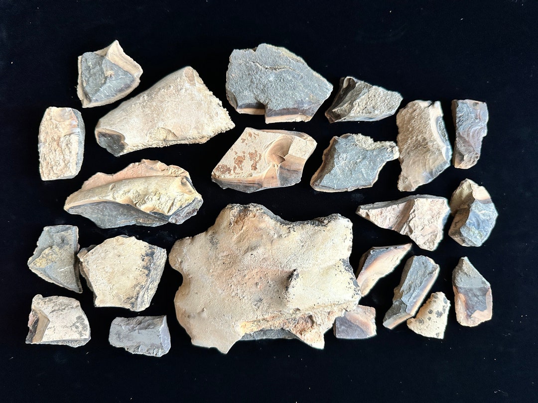 Bat Cave Jasper Rough Lapidary Lot Rim Jasper Prineville, Oregon