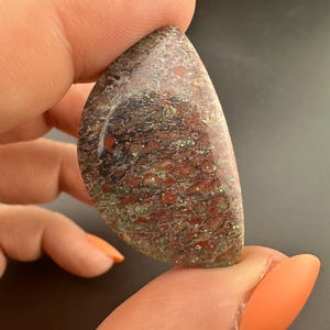 Dinosaur Gem Bone - Polished Cabochon