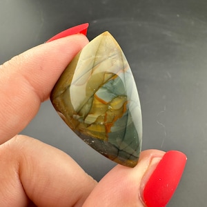 Blue Mountain Jasper - Cabochon - Oregon