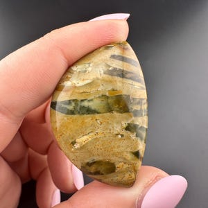 Morrisonite Jasper - Cabochon - Owyhee Canyon, Eastern Oregon