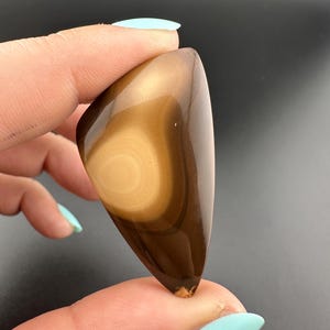 Rim - Bat Cave - Jasper - Freeform Cabochon - Prineville, Oregon